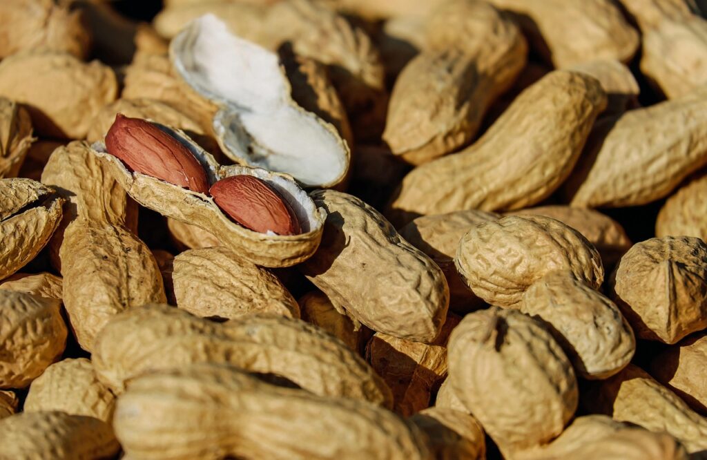 無添加おやつを選ぶ際に知っておくべきことは？